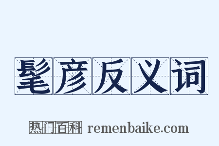 髦彦反义词是什么意思的图片